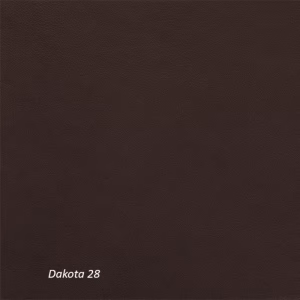 dakota28brun