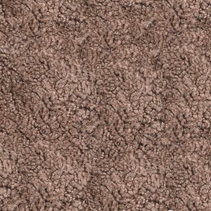 Sahara