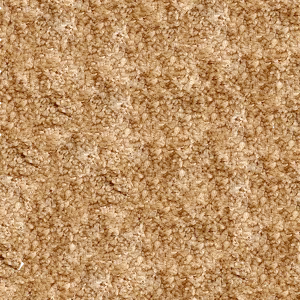 Maple